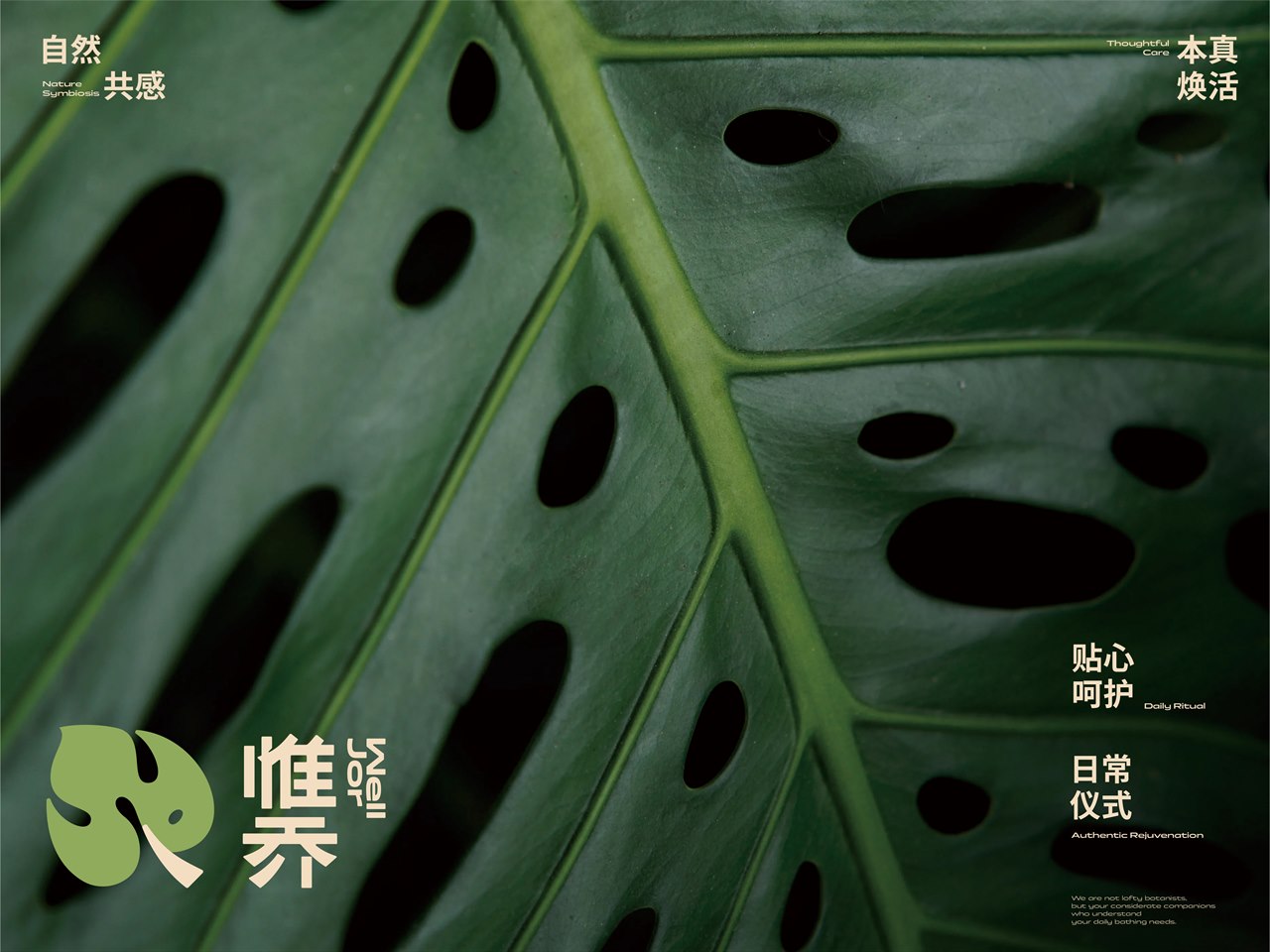 惟乔品牌设计 首页封面