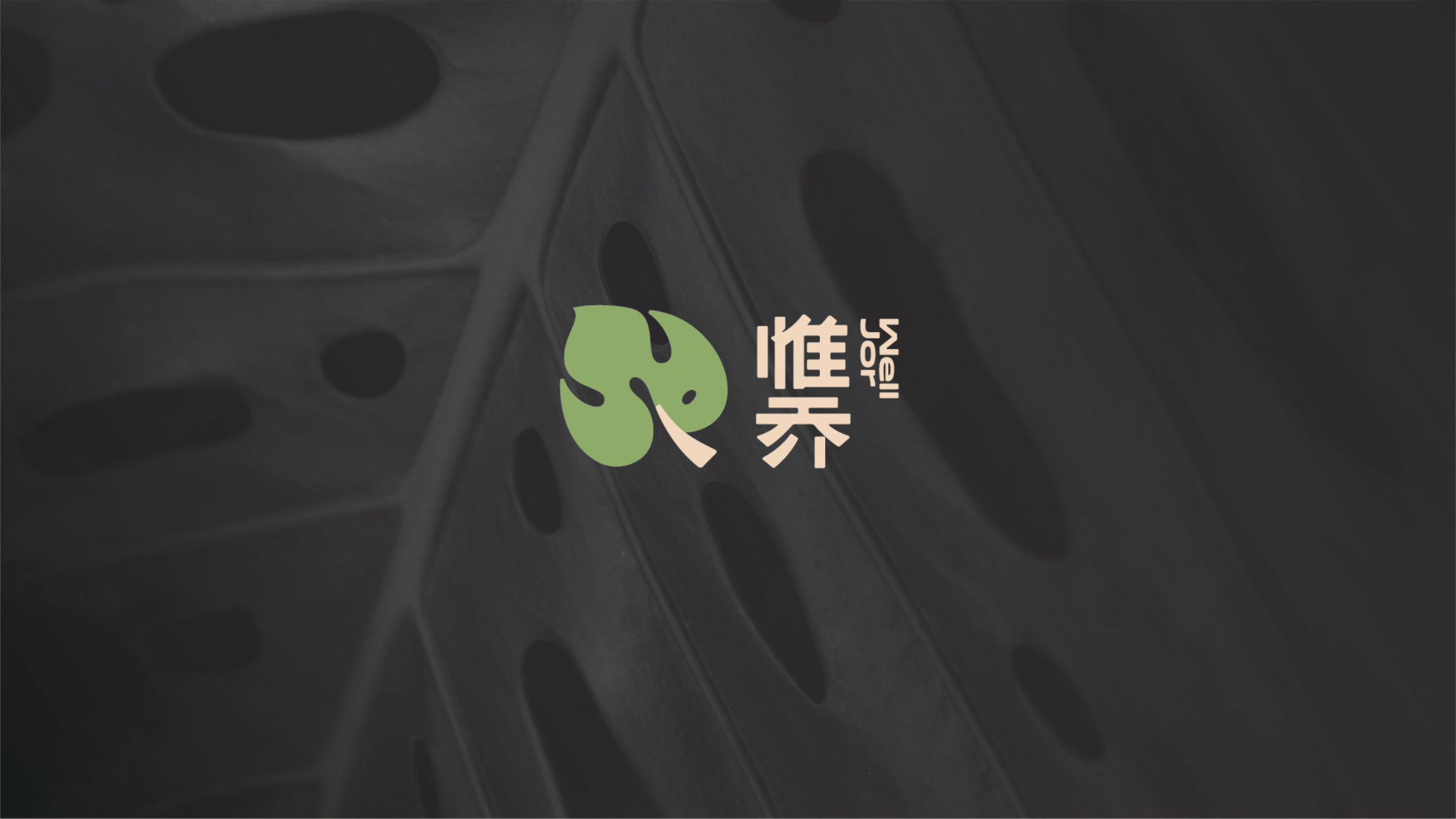 惟乔品牌设计 品牌设计第 7 页