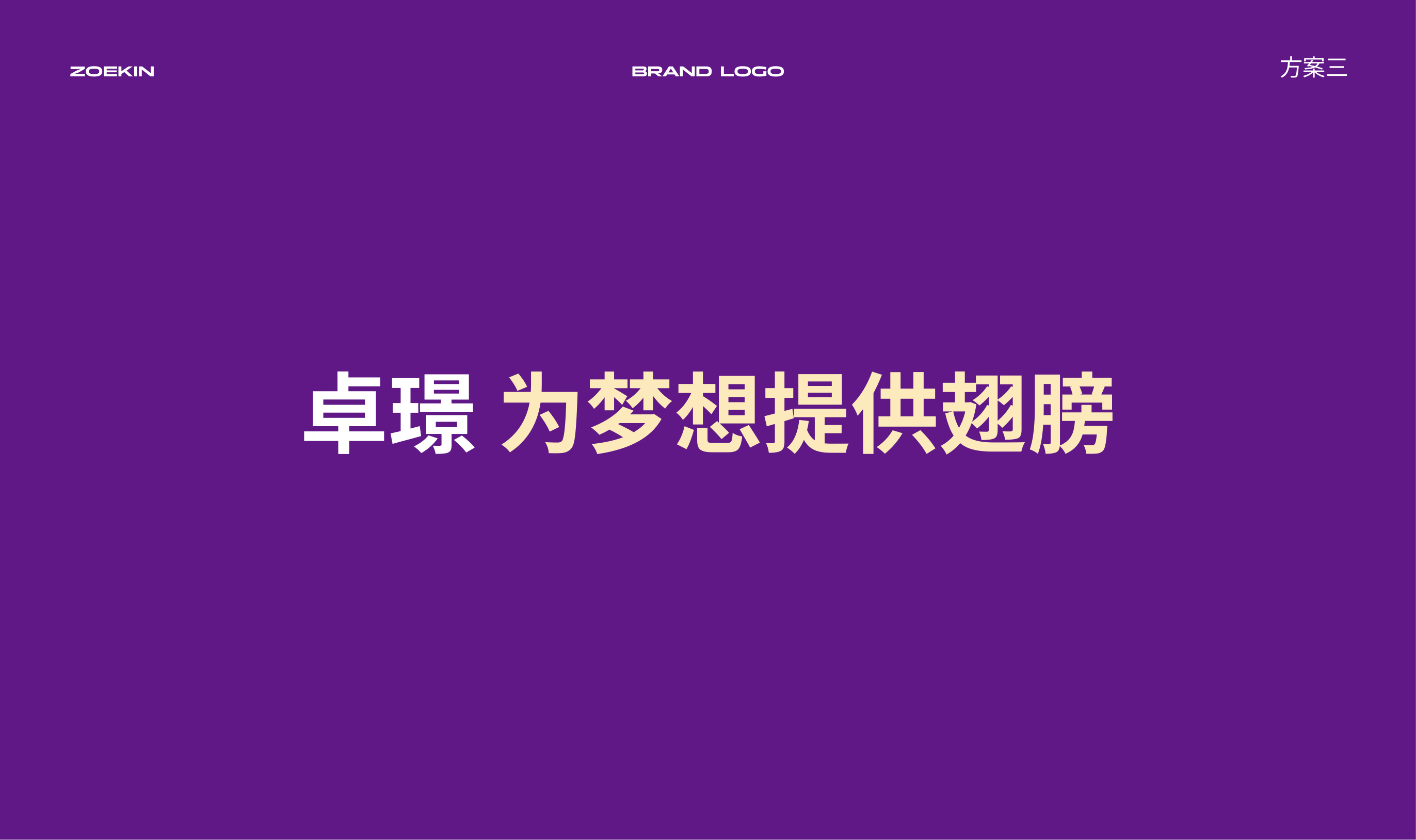 卓璟发展品牌设计 品牌设计第 6 页