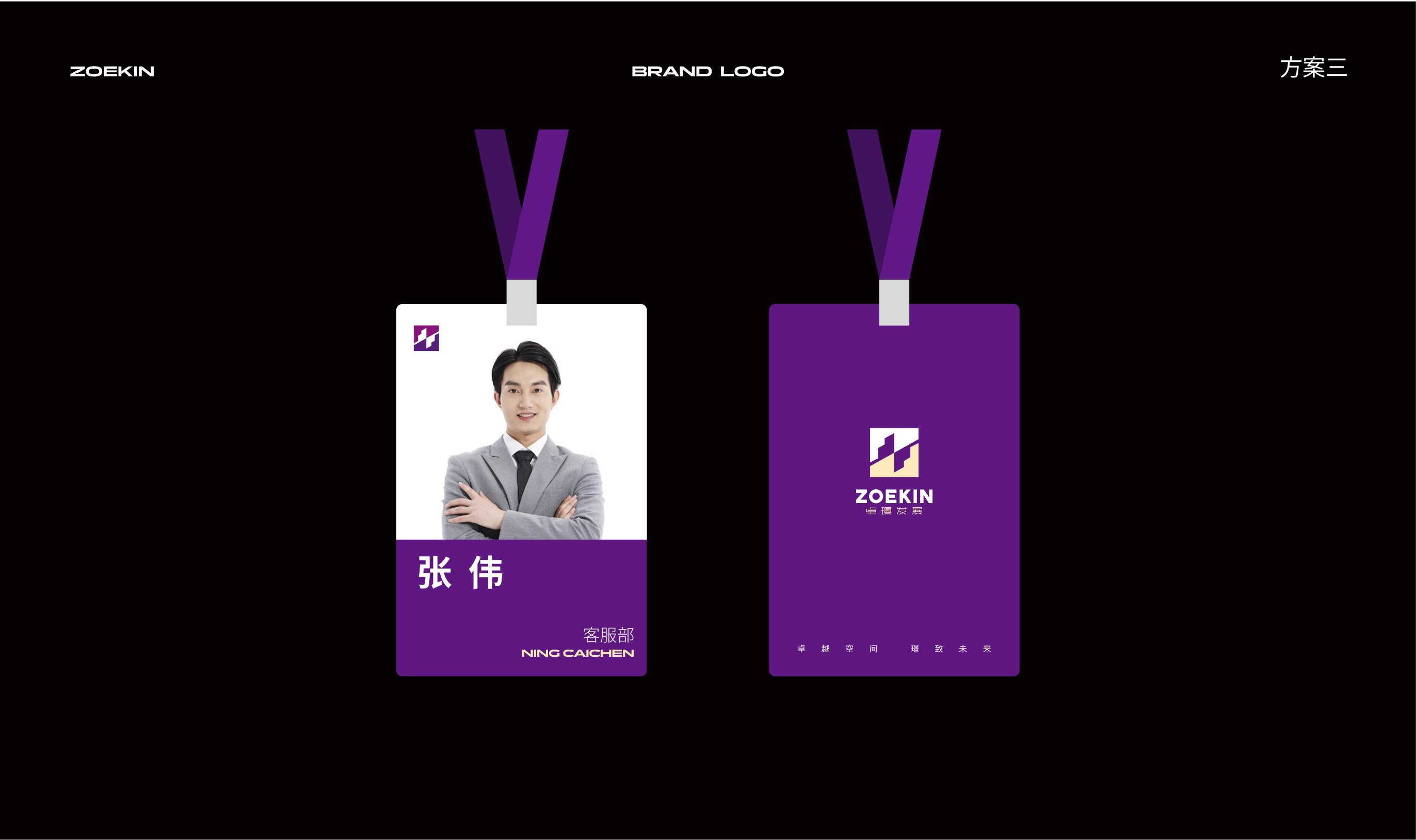 卓璟发展品牌设计 品牌设计第 11 页