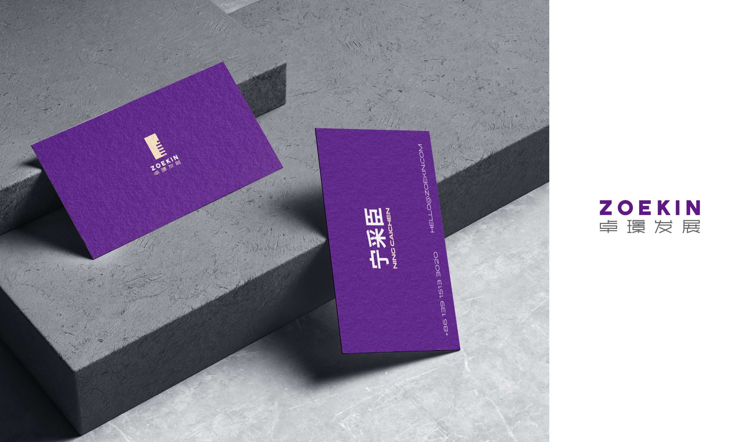 卓璟发展品牌设计 品牌设计第 41 页